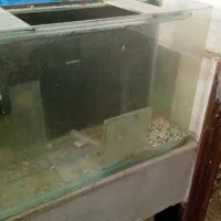 اکواریوم با لوازم کامل