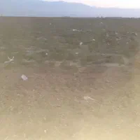 زمین کشاورزی ۳۲ هکتار