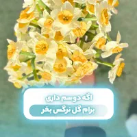 طراحی و ادیت کاور و ریلز اینستاگرام