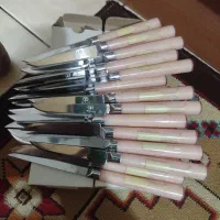 چاقوی پذیرایی۲۴نفره