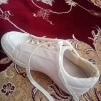 کفش اسپورت سایز 40