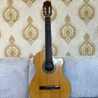 گیتار  ژاپنی اریا a30k