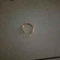 یک عدد گوشواره گم شده