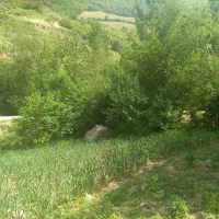 زمین-باغ