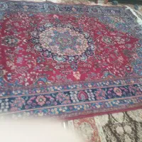 فرش|فرش|تالش, هشتپر|دیوار