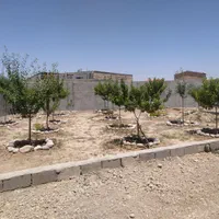 باغ 500متری داخل بافت معاوضه با آپارتمان و ماشین|فروش زمین و ملک کلنگی|مشهد, درزآب|دیوار