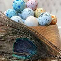 اسمارتیز / شکلات / شکلات بلدرچینی / شکودراژه /عمده|خوردنی و آشامیدنی|تهران, زنجان جنوبی|دیوار