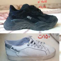 مانتو پالتو لباس بارونی|لباس|کرج, گلستان|دیوار