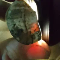 عاج سفید جواهری طبیعی|جواهرات|قرچک, پارک جنگلی|دیوار