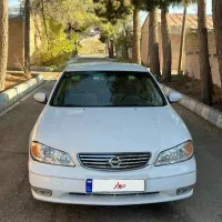 ماکسیما کلکسیونی درجه یک