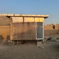 قفس کبوتر