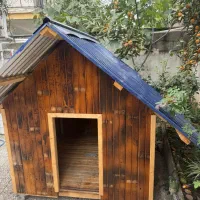 فروش کلبه چوبی سگ نوساز|لوازم جانبی حیوانات|رامسر, |دیوار