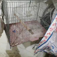 قفس پرنده