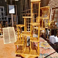 استندگل چوب روسی|گل و گیاه طبیعی|شیراز, قلعه شاهزاده بیگم|دیوار