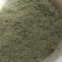 پونه تمیز