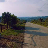 چشم انداز جنگلی زمین ویلایی
