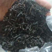 چایی بهاره لاهیجان خوش عطر و طعم