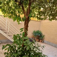 ۹۰متر اپارتمان تکواحد با ۴۰متر حیاط. دهستانی