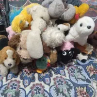 عروسک|اسباب‌بازی بچه|خرم‌آباد, |دیوار