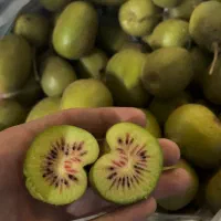 کیوی تو سرخ|خوردنی و آشامیدنی|تهران, ایرانشهر|دیوار