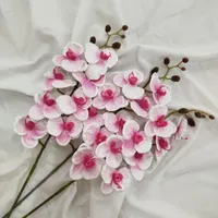ارکیده بسته 2عددی