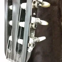 گیتار دیاموند|گیتار، بیس، امپلیفایر|آبیک, |دیوار