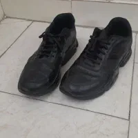 کفش کتانی مردانه