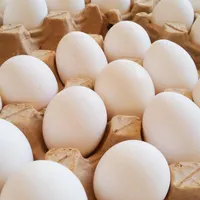فروش تخم مرغ رسمی در یزد|خوردنی و آشامیدنی|یزد, |دیوار