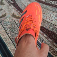 کفش استوک فوتبالی آدیداس پردیتور سایز ۴۲|کیف، کفش، کمربند|شیراز, شهرک بهشتی|دیوار