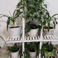 گل همراه استند