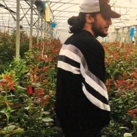 نیروی متعهدو کاری برای در مجموعه گلخانه ای گل رز