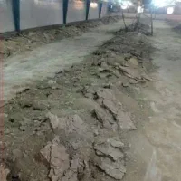 ارسال کود مرغ گوشتی سالن