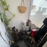 56.5 متر آپارتمان، فول امکانات، تخلیه|اجارهٔ آپارتمان|اندیشه, شهرک کوثر|دیوار