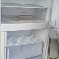 یخچال فریزر سیلوان تمیز و مرتب|یخچال و فریزر|گالیکش, |دیوار