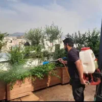 انجام کلیه باغبانی ودرخت کاری سید خندان ونک الهیه