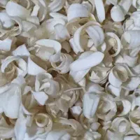 شکوفه تازه چین
