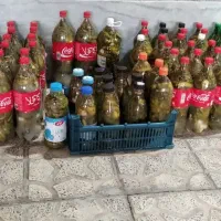 خیار شور محلی کردستان