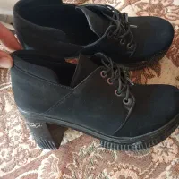 در حد نو|کیف، کفش، کمربند|سلماس, |دیوار