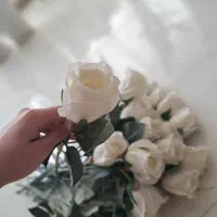 ۲۷ شاخه گل رز خارجی و ۲ بوته گل آویزی زیرقیمت