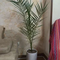 گلهای طبیعی