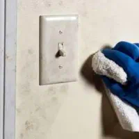 نیرو تمیز کار برای رستوران