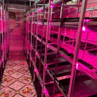 ویلای 4200 متری سنددار درحومه مشهد