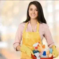 سیخ شور و نظافتچی