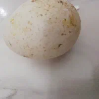 تخم نطفه دار بوقلمون وغاز