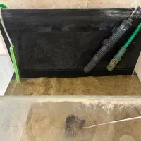 آکواریوم با لوازم|ماهی|کرج, عظیمیه|دیوار