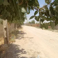500مترزمین-کنتورسوله-دامداری-گاوداری-سهیلیه-کردان