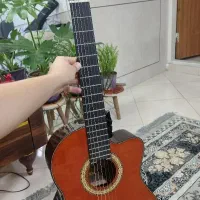 گیتار Washburn