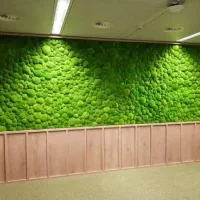 طراحی و اجرای ماس وال دیوار خزه‌ای|گل و گیاه طبیعی|کرج, حصارک بالا|دیوار