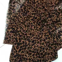 پلنگی|لباس|کامیاران, |دیوار