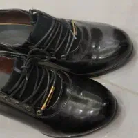 کفش نو|کیف، کفش، کمربند|گرگان, |دیوار